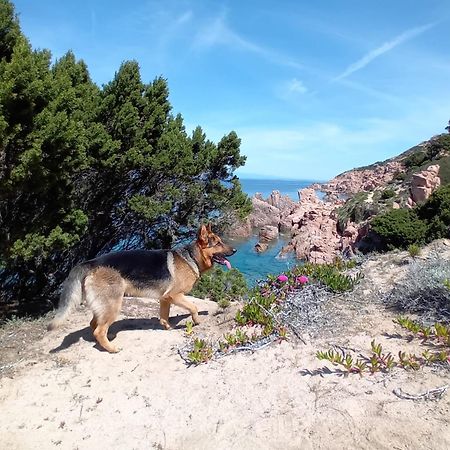Villetta Monica Costa Paradiso Εξωτερικό φωτογραφία