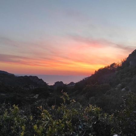 Villetta Monica Costa Paradiso Εξωτερικό φωτογραφία