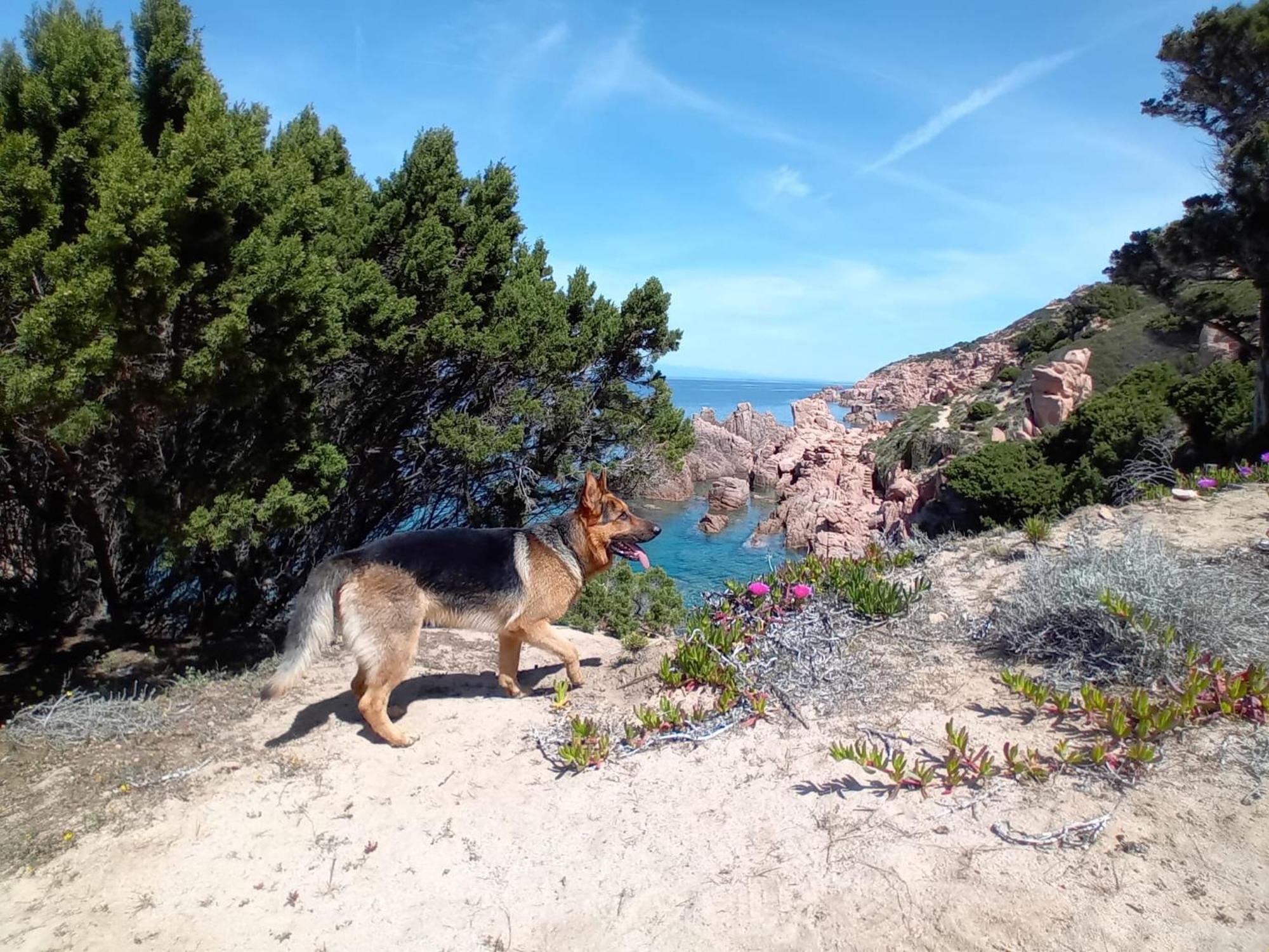 Villetta Monica Costa Paradiso Εξωτερικό φωτογραφία