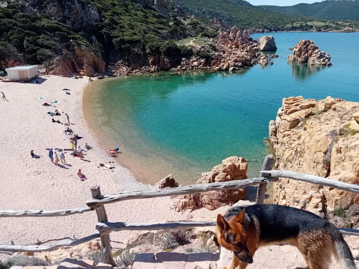 Villetta Monica Costa Paradiso Εξωτερικό φωτογραφία