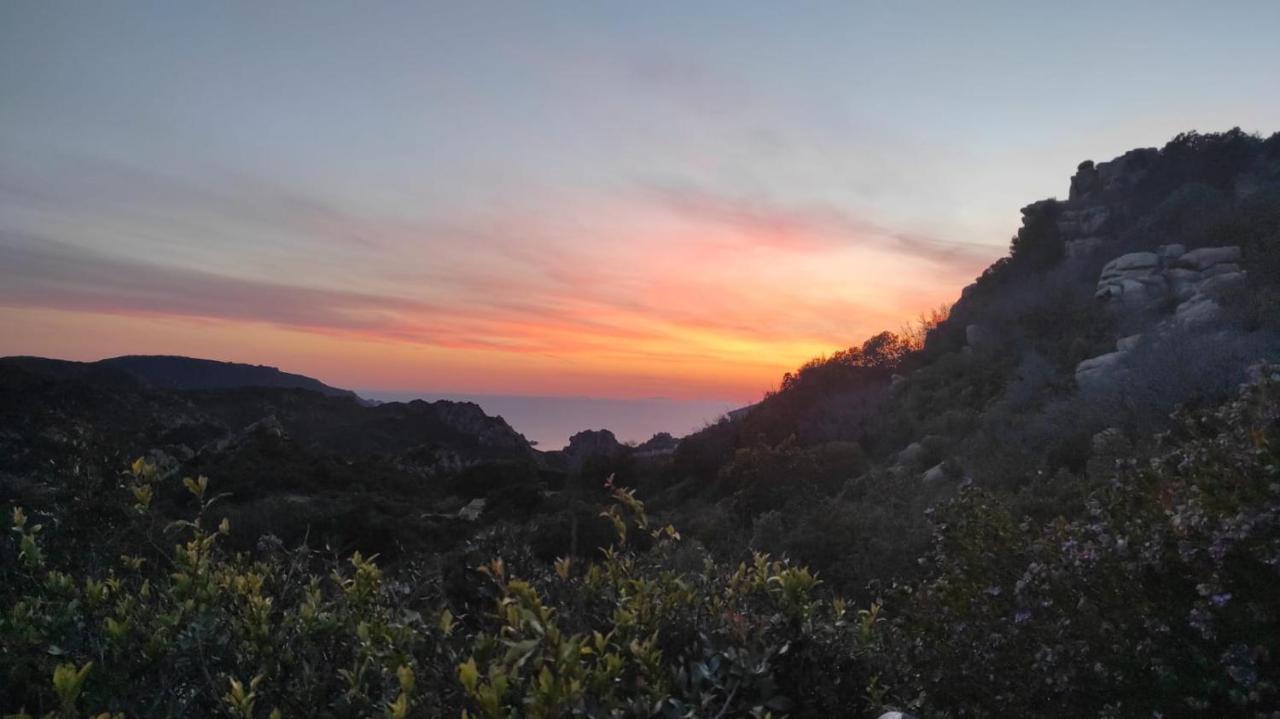 Villetta Monica Costa Paradiso Εξωτερικό φωτογραφία