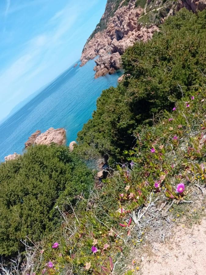 Villetta Monica Costa Paradiso Εξωτερικό φωτογραφία